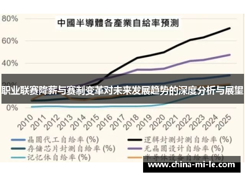 职业联赛降薪与赛制变革对未来发展趋势的深度分析与展望
