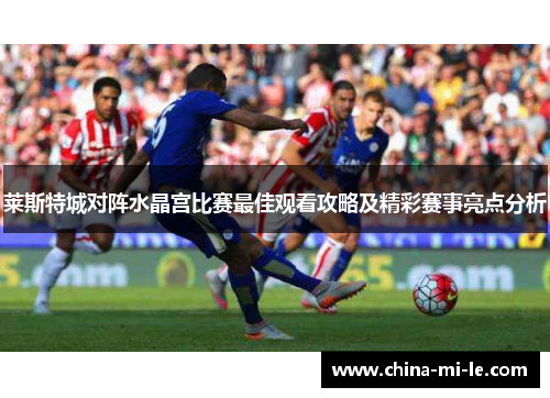 莱斯特城对阵水晶宫比赛最佳观看攻略及精彩赛事亮点分析