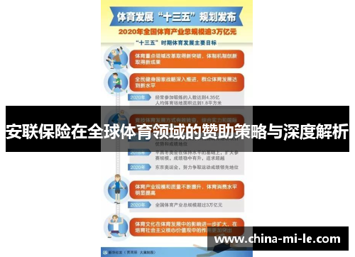 安联保险在全球体育领域的赞助策略与深度解析