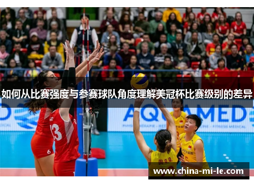 如何从比赛强度与参赛球队角度理解美冠杯比赛级别的差异