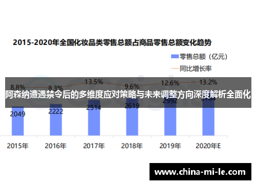阿森纳遭遇禁令后的多维度应对策略与未来调整方向深度解析全面化